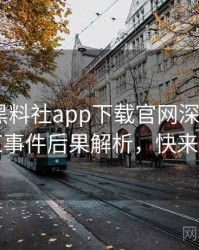 1343. 黑料社app下载官网深度追踪：网红事件后果解析，快来了解