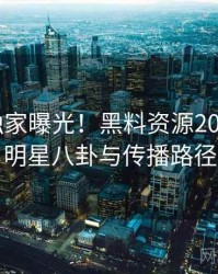 0589. 独家曝光！黑料资源2024年6月明星八卦与传播路径