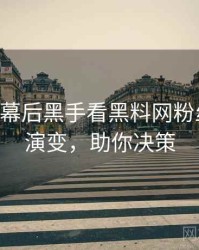 0550. 从幕后黑手看黑料网粉丝后援会演变，助你决策