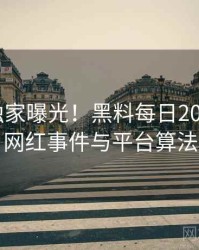1158. 独家曝光！黑料每日2024年7月网红事件与平台算法