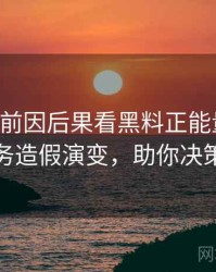 0979. 从前因后果看黑料正能量往期财务造假演变，助你决策