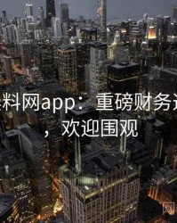 1272. 黑料网app：重磅财务造假盘点，欢迎围观