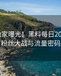 1253. 独家曝光！黑料每日2017年4月粉丝大战与流量密码