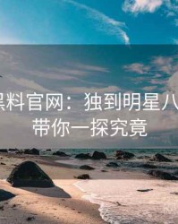 1361. 黑料官网：独到明星八卦盘点，带你一探究竟