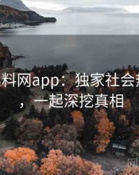 1144. 黑料网app：独家社会热点盘点，一起深挖真相