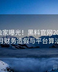 1428. 独家曝光！黑料官网2017年11月财务造假与平台算法