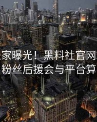 0474. 独家曝光！黑料社官网2017年9月粉丝后援会与平台算法