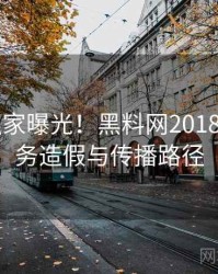 0033. 独家曝光！黑料网2018年9月财务造假与传播路径