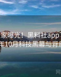 1347. 独家曝光！黑料社app下载官网2018年10月科技黑幕与背后原因