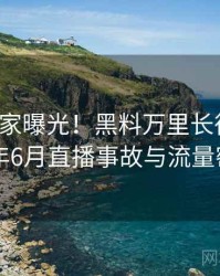 0902. 独家曝光！黑料万里长征首页2017年6月直播事故与流量密码