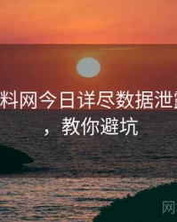 0194. 黑料网今日详尽数据泄露全纪录，教你避坑