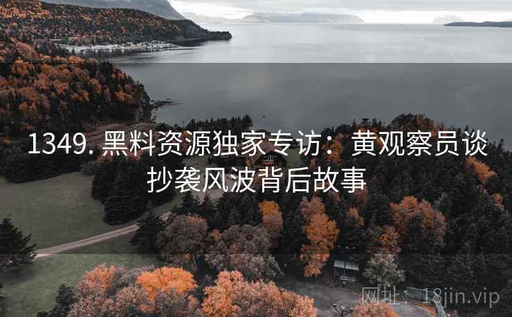 1349. 黑料资源独家专访：黄观察员谈抄袭风波背后故事
